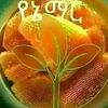 abduljalilalalimiguide