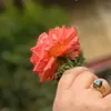 usery726dnb2qa