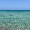 _roro_750