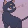 laizekat