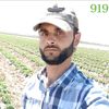 user593183164503