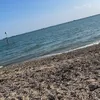salimjabarkhil2
