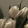 _danniella__