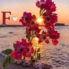 farawilabdullahi