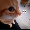 .............__03