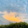 tanii_064