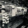 kurttcobain02