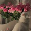 barbie_nehal