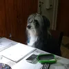 enzom