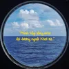 dolphinn023