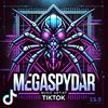 megaspydar