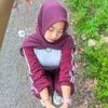sinz2008