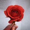 martyna.z_