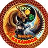 icylicious70