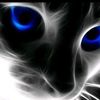 user5901380233917