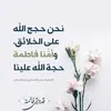 zozo_504