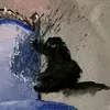 _chunchunbmary_