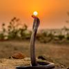 mohammedrafi5953