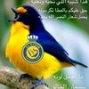 alamlh2