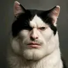 blyachort5