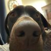 crazybeaver1117