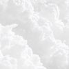 shauma__