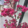 thanglong5