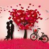 yasir.s78