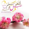 mohamed31138461