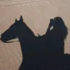 shx_ab1