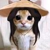 linkimoun_