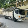 dotronghop