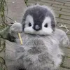 cuzimpenguin