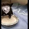 kazumasafujita4