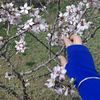 gulu__91