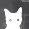 hxnxx23