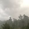 gloomy61_