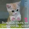 lineferreira82