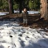 tatan_963