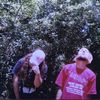 auhsoj_ollirum