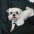 randy_616