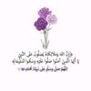 user226360895788