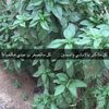 user2110412389883