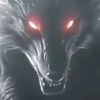 👑🐺LUNA🐺WOLF🐺👑