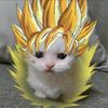 ashetheturtle