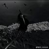 loveblxzot