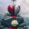 ami_313o