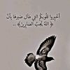 aasss...aa11_
