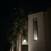salem_m79