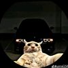 gio_4011